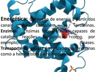 Energética: Obtenção de energia a partir dos
canais que compõem as proteínas.
Enzimas: Enzimas são proteínas capazes de
catalisar reações bioquímicas como, por
exemplo, as lipases.
Transporte de gases: é realizado por proteínas
como a hemoglobina e hemocianina
 