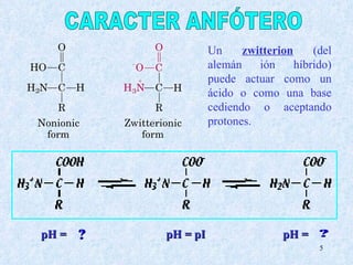CARACTER ANFÓTERO pH =  pH = pI pH =  Un  zwitterion  ( del alemán ión híbrido)  puede actuar como un ácido o como una base cediendo o aceptando protones. 