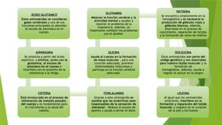 ÁCIDO GLUTÁMICO
Estos aminoácidos se consideran
gases cerebrales y una de sus
funciones principales es absorber
el exceso de amoníaco en el
cuerpo.
ASPARAGINA
Se sintetiza a partir del ácido
aspártico, y elimina, junto con la
glutamina, el exceso de
amoníaco en el cuerpo e
interfiere con el aumento de la
resistencia a la fatiga.
CISTEÍNA
Está involucrado en el proceso de
eliminación de metales pesados ​
​
del cuerpo y es fundamental para
el crecimiento y la salud del
cabello.
FENILALANINA
Gracias a este aminoácido es
posible que las endorfinas sean
responsables de la sensación de
bienestar . Reduce el exceso de
apetito y ayuda a aliviar el dolor.
GLICINA
Ayuda al cuerpo en la formación
de masa muscular , para una
curación adecuada, previene
enfermedades infecciosas y
participa en la función cerebral
adecuada.
GLUTAMINA
Mejoran la función cerebral y la
actividad mental y ayudan a
resolver el problema de la
impotencia. Además, es
importante combatir los problemas
con el alcohol.
HISTIDINA
Se encuentra ampliamente en la
hemoglobina y es necesaria la
producción de glóbulos rojos y
glóbulos blancos. Además,
interviene en el proceso de
crecimiento, reparación de tejidos
y la formación de vaina de mielina
ISOLEUCINA
Estos aminoácidos son parte del
código genético y son esenciales
para nuestro tejido muscular y la
formación de
hemoglobina. Además, ayuda a
regular el azúcar en la sangre
LEUCINA
Al igual que los aminoácidos
anteriores, interfiere en la
formación y reparación del tejido
muscular y coopera en la curación
de la piel y los huesos
 