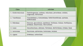 EXPLICACION FACIL DE LAS PROTEINAS TEMA COMPLTO