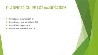 CLASIFICACIÓN DE LOS AMINOÁCIDOS
 Aminoácidos comunes: Son 20
 Aminoácidos raros: son más de 200
 Aminoácidos no proteicos
 Aminoácidos esenciales: son 10
 