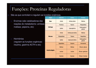 Funções: Proteínas Reguladoras
São as que controlam e regulam as funções orgânicas.

   Enzimas (são catalisadoras das
   reações do metabolismo: amilase,
   maltase, pepsina, etc)




   Hormônios
   (regulam as funções orgânicas:
   insulina, gastrina ACTH e etc)
 