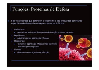 Funções: Proteínas de Defesa

São os anticorpos que defendem o organismo e são produzidos por células
específicas do sistema imunológico, chamadas linfócitos.

   Antitoxinas:
      neutralizam as toxinas dos agentes de infecção, como as bactérias;
   Aglutininas:
      aglutinam certos agentes de infecção;
   Opsoninas:
       tornam os agentes de infecção mais facilmente
       atacados pelos fagócitos;
   Lisinas:
      dissolvem certos agentes de infecção
 