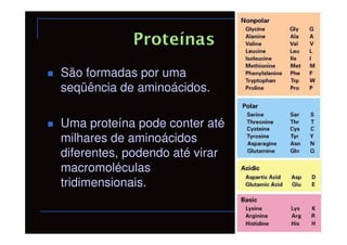 São formadas por uma
seqüência de aminoácidos.

Uma proteína pode conter até
milhares de aminoácidos
diferentes, podendo até virar
macromoléculas
tridimensionais.
 