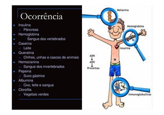 Ocorrência
Insulina
   Pâncreas
Hemoglobina
      Sangue dos vertebrados
Caseína
   Leite
Queratina
   Chifres, unhas e cascos de animais
Hemocianina
   Sangue dos invertebrados
Pepsina
   Suco gástrico
Albumina
   Ovo, leite e sangue
Clorofila
   Vegetais verdes
 