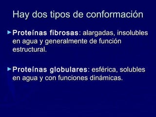 Hay dos tipos de conformación
► Proteínas   fibrosas : alargadas, insolubles
 en agua y generalmente de función
 estructural.

► Proteínas globulares : esférica, solubles
 en agua y con funciones dinámicas.
 