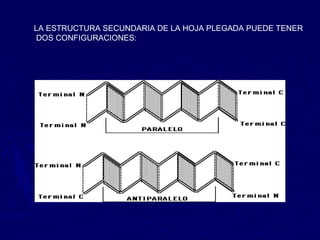 LA ESTRUCTURA SECUNDARIA DE LA HOJA PLEGADA PUEDE TENER
 DOS CONFIGURACIONES:
 