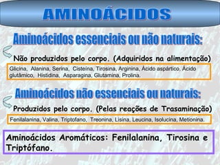 AMINOÁCIDOS Não produzidos pelo corpo. (Adquiridos na alimentação) Glicina,  Alanina, Serina,  Cisteína, Tirosina, Arginina, Ácido aspártico, Ácido glutâmico,  Histidina,  Asparagina, Glutamina, Prolina.  Produzidos pelo corpo. (Pelas reações de Trasaminação) Fenilalanina, Valina, Triptofano,  Treonina, Lisina, Leucina, Isolucina, Metionina.  Aminoácidos Aromáticos: Fenilalanina, Tirosina e  Triptófano. Aminoácidos essenciais ou não naturais: Aminoácidos não essenciais ou naturais: 