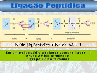 Ligação Peptídica Nºde Lig.Peptídica = Nº de AA - 1 Em um polipeptídio qualquer sempre haverá 1 grupo Amino terminal e  1 grupo Ácido terminal. 