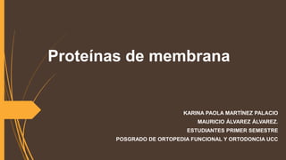 Proteínas de membrana

KARINA PAOLA MARTÍNEZ PALACIO
MAURICIO ÁLVAREZ ÁLVAREZ.
ESTUDIANTES PRIMER SEMESTRE
POSGRADO DE ORTOPEDIA FUNCIONAL Y ORTODONCIA UCC

 