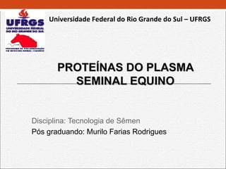 Universidade Federal do Rio Grande do Sul – UFRGS




       PROTEÍNAS DO PLASMA
         SEMINAL EQUINO


Disciplina: Tecnologia de Sêmen
Pós graduando: Murilo Farias Rodrigues
 