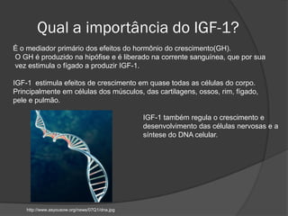 Qual a importância do IGF-1?
É o mediador primário dos efeitos do hormônio do crescimento(GH).
O GH é produzido na hipófise e é liberado na corrente sanguínea, que por sua
vez estimula o fígado a produzir IGF-1.

IGF-1 estimula efeitos de crescimento em quase todas as células do corpo.
Principalmente em células dos músculos, das cartilagens, ossos, rim, fígado,
pele e pulmão.

                                                IGF-1 também regula o crescimento e
                                                desenvolvimento das células nervosas e a
                                                síntese do DNA celular.




    http://www.asyousow.org/news/07Q1/dna.jpg
 