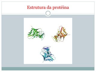 Estrutura da protéina
 