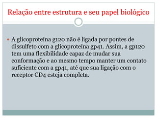 Relação entre estrutura e seu papel biológico


 A glicoproteína g120 não é ligada por pontes de
 dissulfeto com a glicoproteína gp41. Assim, a gp120
 tem uma flexibilidade capaz de mudar sua
 conformação e ao mesmo tempo manter um contato
 suficiente com a gp41, até que sua ligação com o
 receptor CD4 esteja completa.
 