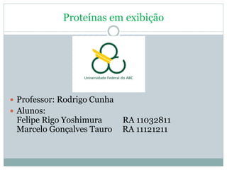 Proteínas em exibição




 Professor: Rodrigo Cunha
 Alunos:
 Felipe Rigo Yoshimura       RA 11032811
 Marcelo Gonçalves Tauro     RA 11121211
 