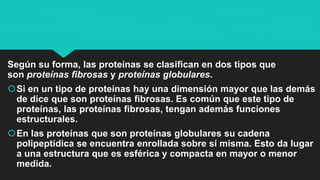 Según su forma, las proteínas se clasifican en dos tipos que
son proteínas fibrosas y proteínas globulares.
Si en un tipo de proteínas hay una dimensión mayor que las demás
de dice que son proteínas fibrosas. Es común que este tipo de
proteínas, las proteínas fibrosas, tengan además funciones
estructurales.
En las proteínas que son proteínas globulares su cadena
polipeptídica se encuentra enrollada sobre sí misma. Esto da lugar
a una estructura que es esférica y compacta en mayor o menor
medida.
 