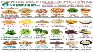 Alimentos ricos en proteínas
 