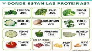 Proteínas equipo3 Bioquímica