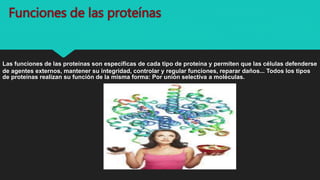 Funciones de las proteínas
Las funciones de las proteínas son específicas de cada tipo de proteína y permiten que las células defenderse
de agentes externos, mantener su integridad, controlar y regular funciones, reparar daños... Todos los tipos
de proteínas realizan su función de la misma forma: Por unión selectiva a moléculas.
 