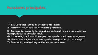 Funciones principales:
1.- Estructurales, como el colágeno de la piel
2.- Hormonales, todas las hormonas proteicas.
3.- Transporte, como la hemoglobina en los gl. rojos o las proteínas
transportadoras de colesterol.
4.- Inmunológica, los anticuerpos que ayudan a elimnar patógenos.
5.- Homeostática, todas ya que ayudan a regular el pH del cuerpo.
7.- Contráctil, la miosina y actina de los músculos.
 