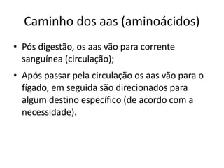 Caminho dos aas (aminoácidos)
• Pós digestão, os aas vão para corrente
  sanguínea (circulação);
• Após passar pela circulação os aas vão para o
  fígado, em seguida são direcionados para
  algum destino específico (de acordo com a
  necessidade).
 