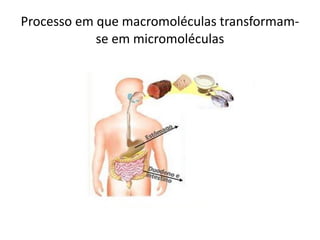 Processo em que macromoléculas transformam-
            se em micromoléculas
 