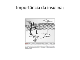 Importância da insulina:
 