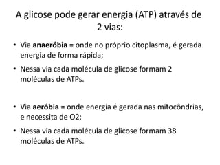 A glicose pode gerar energia (ATP) através de
                   2 vias:
• Via anaeróbia = onde no próprio citoplasma, é gerada
  energia de forma rápida;
• Nessa via cada molécula de glicose formam 2
  moléculas de ATPs.


• Via aeróbia = onde energia é gerada nas mitocôndrias,
  e necessita de O2;
• Nessa via cada molécula de glicose formam 38
  moléculas de ATPs.
 