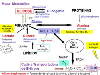 Proteínas essenciais e metabolismo do cho