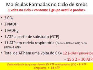 Proteínas essenciais e metabolismo do cho