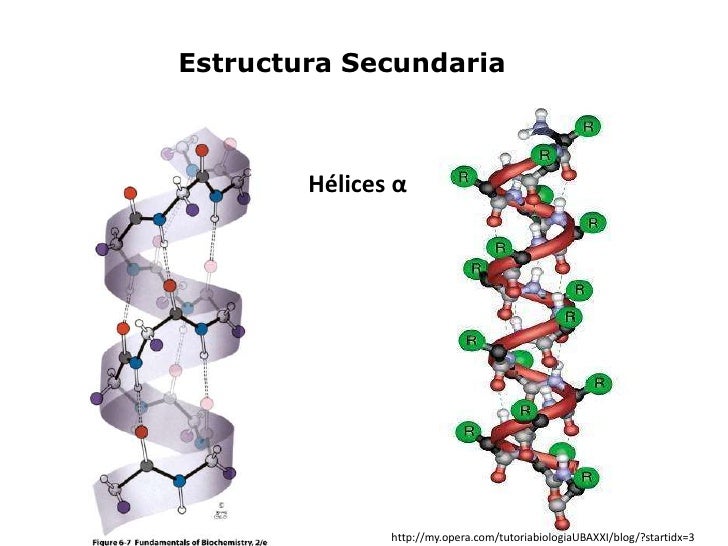 Proteínas estructura tridimensional