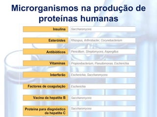 Microrganismos na produção de
proteínas humanas
 