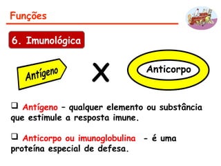 Funções
6. Imunológica
Anticorpo
X
 Antígeno – qualquer elemento ou substância
que estimule a resposta imune.
 Anticorpo ou imunoglobulina - é uma
proteína especial de defesa.
 