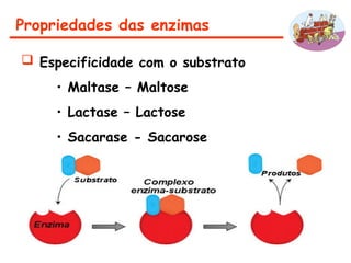 Propriedades das enzimas
 Especificidade com o substrato
• Maltase – Maltose
• Lactase – Lactose
• Sacarase - Sacarose
 
