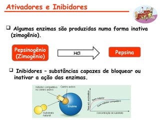 Ativadores e Inibidores
 Algumas enzimas são produzidas numa forma inativa
(zimogênio).
Pepsinogênio
(Zimogênio)
HCl Pepsina
 Inibidores – substâncias capazes de bloquear ou
inativar a ação das enzimas.
 
