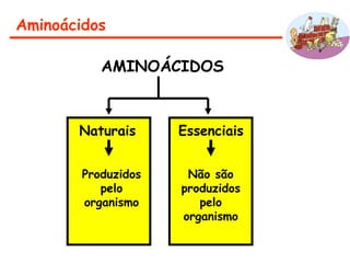 Aminoácidos
AMINOÁCIDOS
Naturais Essenciais
Produzidos
pelo
organismo
Não são
produzidos
pelo
organismo
 