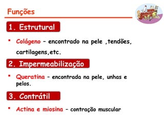 Funções
 Colágeno – encontrado na pele ,tendões,
cartilagens,etc.
1. Estrutural
3. Contrátil
 Actina e miosina – contração muscular
2. Impermeabilização
 Queratina – encontrada na pele, unhas e
pelos.
 