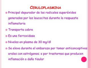 CERULOPLASMINA
   Principal depurador de los radicales superóxidos
    generados por los leucocitos durante la respuesta
    inflamatoria

   Transporta cobre

   Es una ferroxidasa

   Niveles en plasma de 30 mg/dl

   Se eleva durante el embarazo por tomar anticonceptivos
    orales con estrógenos; o por trastornos que producen
    inflamación o daño tisular
 