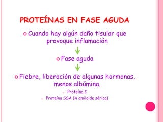PROTEÍNAS EN FASE AGUDA
    Cuando      hay algún daño tisular que
                provoque inflamación

                      Fase     aguda

 Fiebre,   liberación de algunas hormonas,
                menos albúmina.
                        o   Proteína C
            o   Proteína SSA (A amiloide sérica)
 