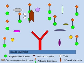 ELISA DE COMPETIÇÃO
Outros componentes do soro
Antígeno a ser dosado Anticorpo primário
Antígeno biotinilado
TMB
ST-AV- Peroxidase
 