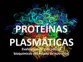 PROTEÍNAS PLASMÁTICAS Evaluación de indicadores bioquímicos del estado de nutrición. 