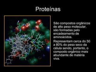 Proteínas

      São compostos orgânicos
      de alto peso molecular,
      são formadas pelo
      encadeamento de
      aminoácidos.
      Representam cerca do 50
      a 80% do peso seco da
      célula sendo, portanto, o
      composto orgânico mais
      abundante de matéria
      viva.
 