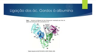 Ligação dos ác. Gordos à albumina

 