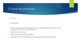 Canal de potássio


413 a.a.;



Tetrâmero;



Duas α-hélices transmembranares por subunidade, ligados por uma
sequência de 30 a.a. que formam:



domíno extra-celular;



hélice de dimensões reduzidas;



sequência de 5 aminoácidos responsável pela selectividade.

 