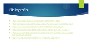 Bibliografia


http://en.wikipedia.org/wiki/Potassium_channel#Function



http://fisiologia.med.up.pt/Textos_Apoio/Membranas/CanaisPotassio.pdf



http://www.spq.pt/boletim/docs/BoletimSPQ_092_027_09.pdf



http://bdtd.bczm.ufrn.br/tde_arquivos/39/TDE-2013-04-29T162528Z-51



http://www.rcsb.org/pdb/explore/images.do?structureId=1AO673/Public
o/DiegoSD_DISSERT.pdf



http://www.biomedcentral.com/1472-6807/3/6/figure/F2

 