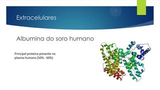 Extracelulares

Albumina do soro humano
Principal proteína presente no
plasma humano (50% - 60%)

 