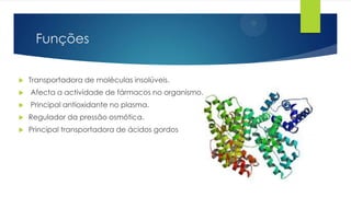 Funções


Transportadora de moléculas insolúveis.



Afecta a actividade de fármacos no organismo.



Principal antioxidante no plasma.



Regulador da pressão osmótica.



Principal transportadora de ácidos gordos

 