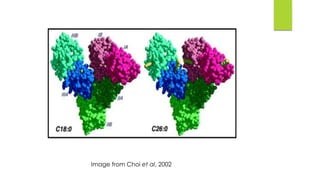 Image from Choi et al, 2002

 
