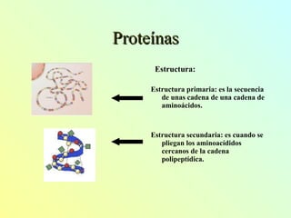 Proteínas Estructura: Estructura primaria: es la secuencia de unas cadena de una cadena de aminoácidos. Estructura secundaria: es cuando se pliegan los aminoacídidos cercanos de la cadena polipeptídica.  