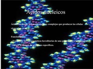 Ácidos nucleicos   Ácidos nucleicos: son moléculas muy complejas que producen las células  vivas y los virus. Funciones: Transmitir las características hereditarias de una generación a la siguiente. Dirigir la síntesis de proteínas específicas. 